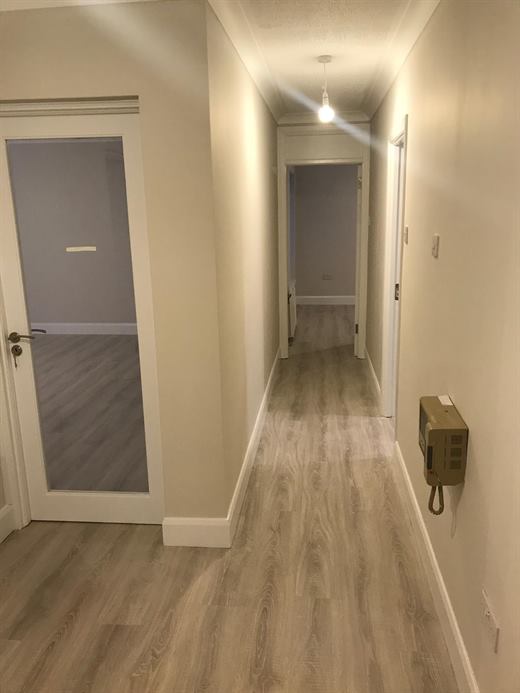 Hallway with laminate flooring and painted walls
