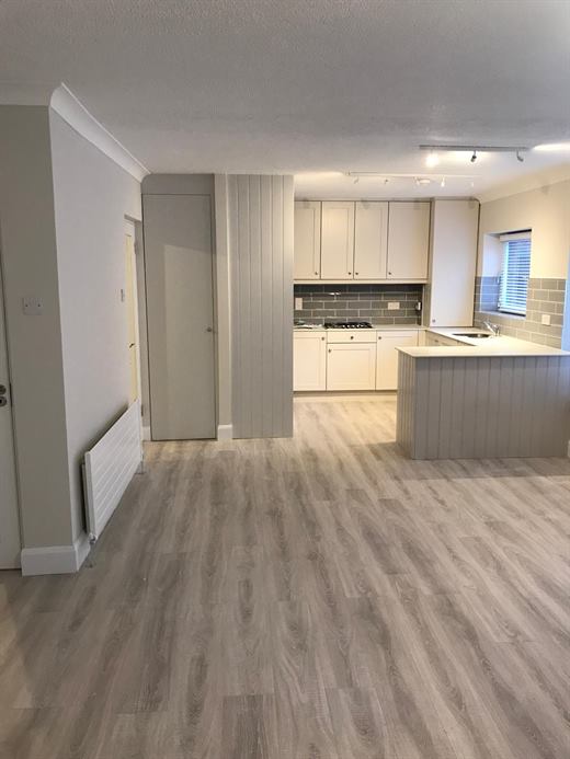 Open-plan kitchen and lounge with laminate flooring