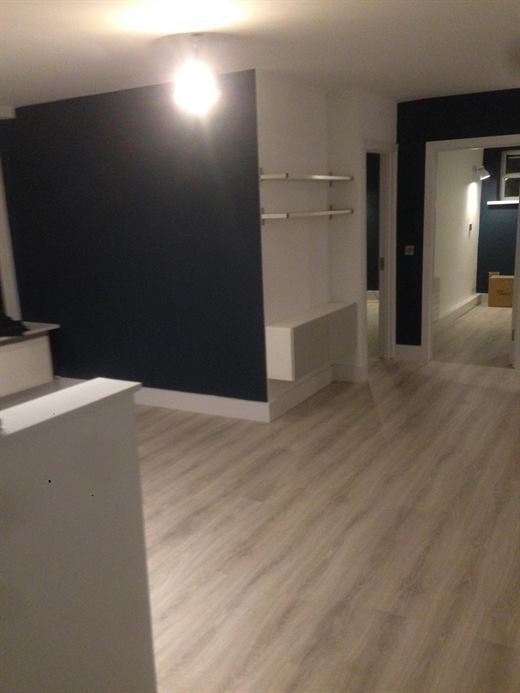 Open-plan space with navy feature wall and laminate floor