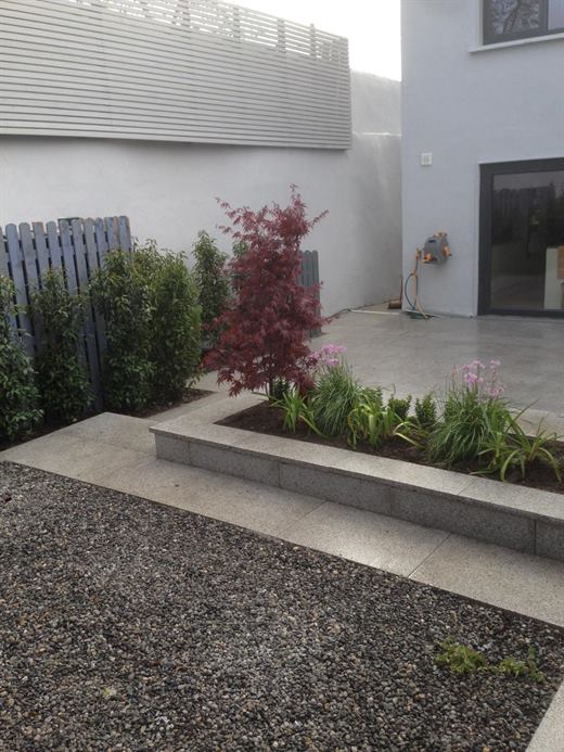 Patio with raised bed, gravel and planting