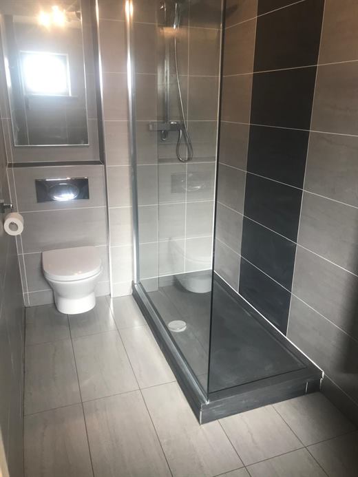 Walk-in shower with dark feature tile strip