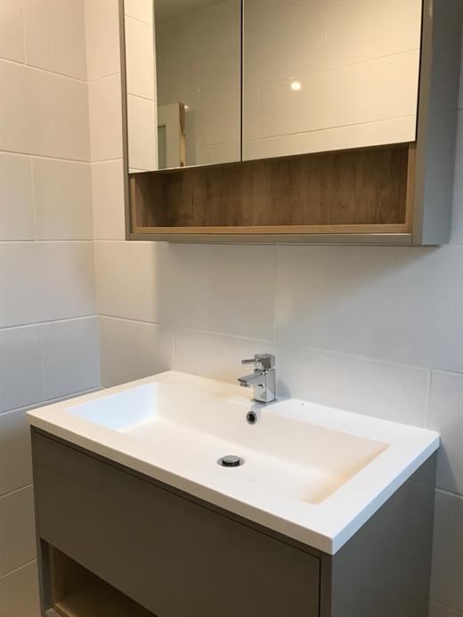 Wall-hung vanity with mirrored cabinet above